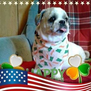 Meet your Posher, Peter